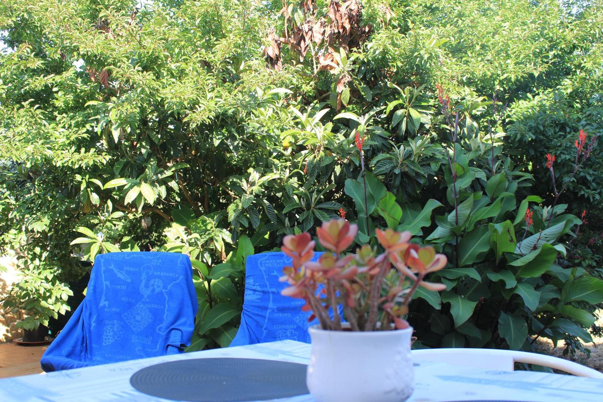 Blue Room Pedralva Exterior foto
